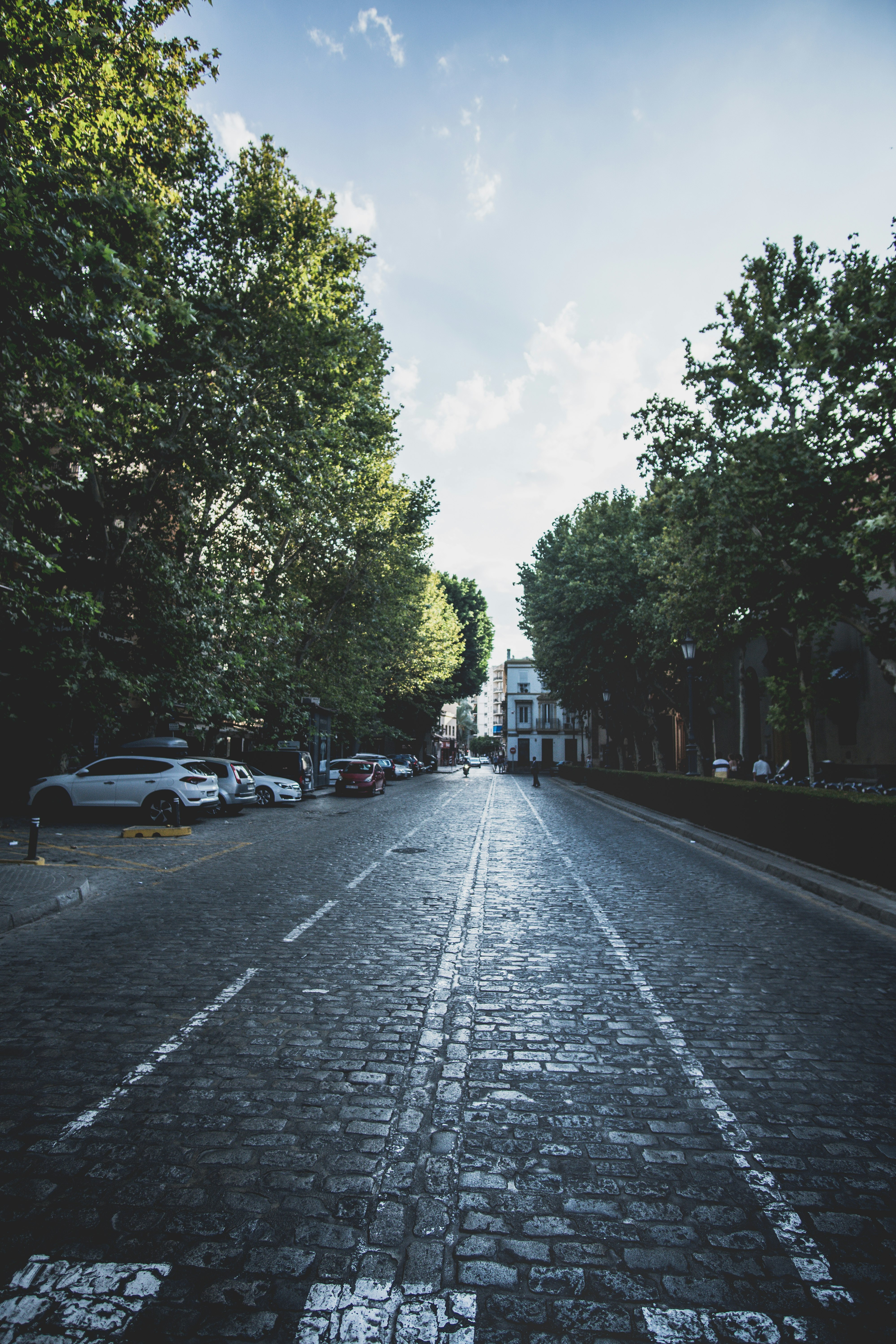 cars parked on side of the road during daytime